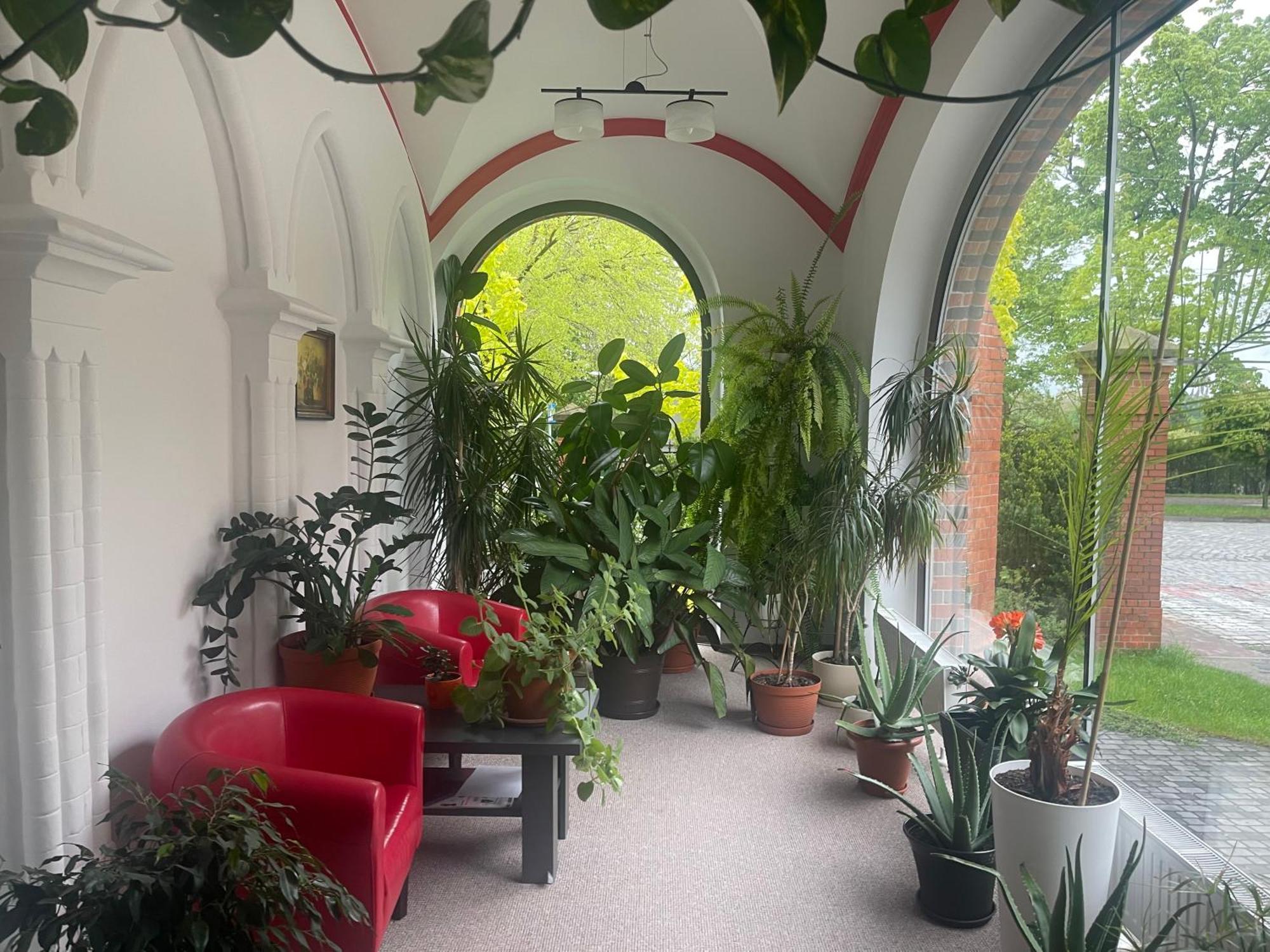 Szkolne Schronisko Mlodziezowe Dabrowka Hostel ปรุดนิค ภายนอก รูปภาพ